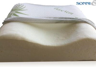 Coppia cuscini cervical memory aloe